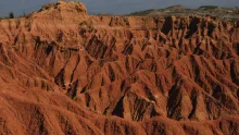 Esta zona fue declarada Patrimonio Arqueológico de la Humanidad, porque en todo el desierto se han encontrado innumerables fósiles de animales prehistóricos.