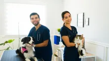 Hay vacantes para diferentes especialidades en veterinaria, así puede postularse a las ofertas.