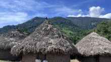 Las comunidades indígenas de la Sierra Nevada de Santa Marta cultivan y comercializan café orgánico en diferentes zonas de la ciudad. En una visita al pueblo Kogui, algunos integrantes explicaron cómo es el proceso.