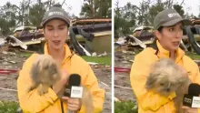 La mascota había escapado de su hogar durante la tormenta. Fue encontrada en los escombros de la casa de al lado.