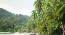 Por qué Isla Gorgona es la isla más bonita de Colombia | Cómo se puede llegar a la isla Gorgona | Qué hacer en isla Gorgona de paseo