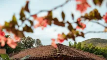 Así está el panorama de la situación ambiental y los retos que enfrentan las autoridades en el departamento para la protección de la biodiversidad.