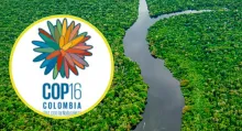 Conozca el significado de la COP16, cuál es el objetivo que tiene y qué paises participarán en la COP evento que se hará en Cali, Colombia.