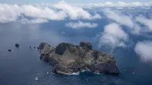 En el Santuario de Fauna y Flora Malpelo abundan especies de alto interés.