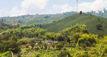 ¿Qué hacer en el Eje Cafetero en 3 días? Destinos fuera de lo común, presupuesto de hospedaje y lugares para conocer las tradiciones ecológicas.