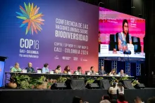 ONU mujeres En la COP16