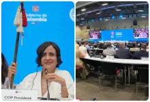 La ministra de Ambiente, Susana Muhamad, se pronunció durante el último día de la COP16.