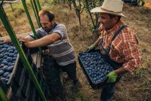 Con estas iniciativas, el producto local colombiano podría alcanzar nuevos mercados. (Imagen de referencia).