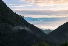 El Parque Nacional Natural Farallones de Cali alberga cuatro ecosistemas diferentes en su territorio y, además, a una multiplicidad de especies de flora y fauna.