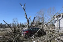 Un vehículo queda debajo de los restos de un árbol caído tras el paso de una tormenta, el lunes 17 de febrero de 2025, en Shannon, Mississippi. (Thomas Wells/The Northeast Mississippi Daily Journal vía AP)