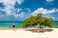 Árbol Divi o fofotien Eagle Beach, Aruba, con una mujer  en la playa mirando al mar.