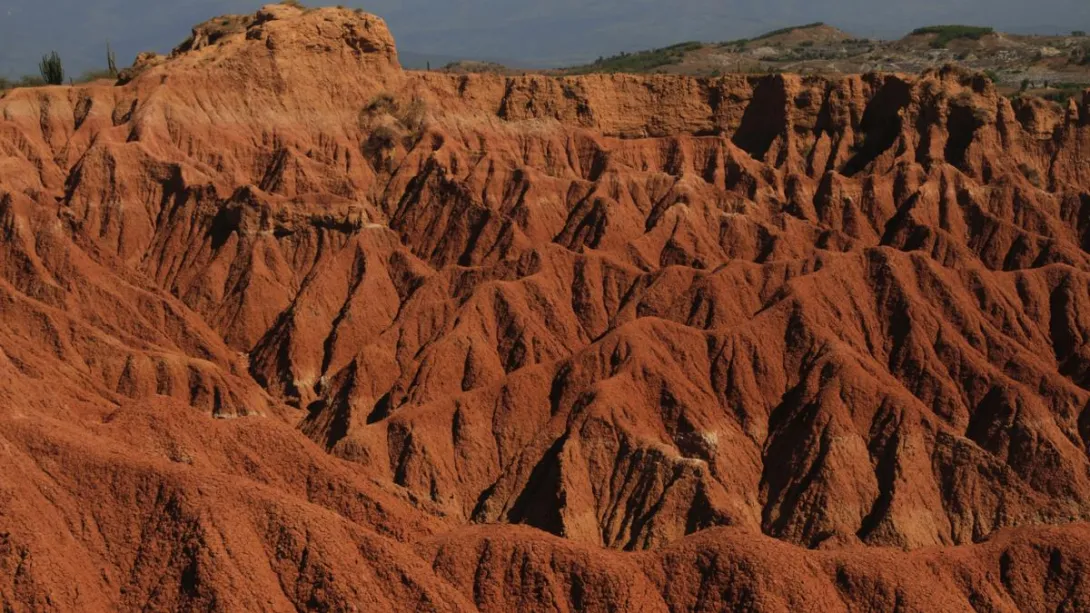 Esta zona fue declarada Patrimonio Arqueológico de la Humanidad, porque en todo el desierto se han encontrado innumerables fósiles de animales prehistóricos.