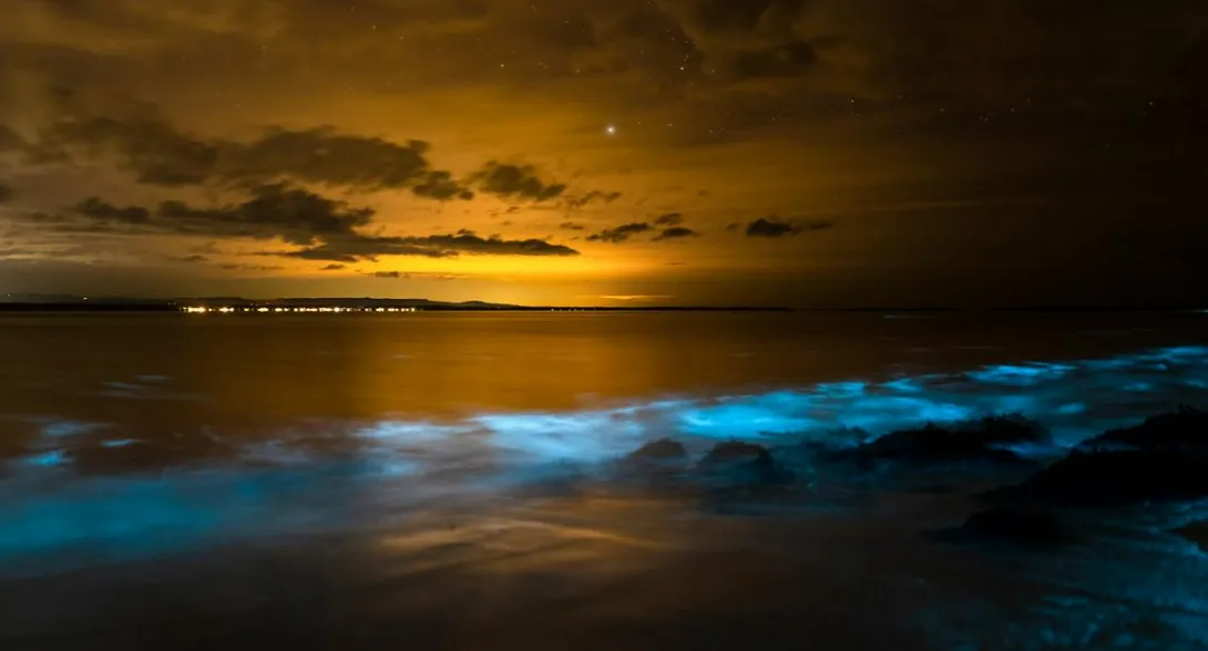 Conozca cuáles son las playas que alumbran de noche en Colombia , dónde son y cómo llegar desde Bogotá.