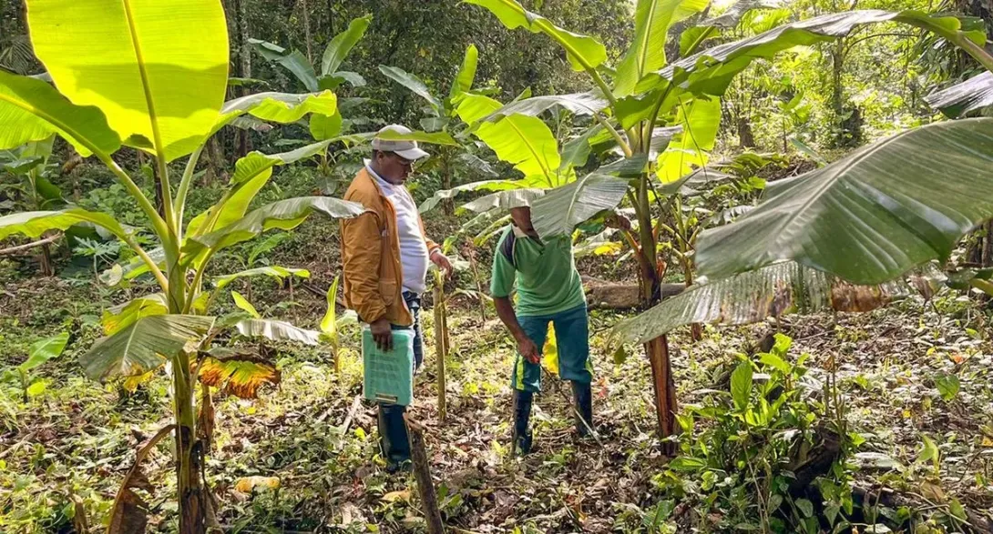 La Agencia Nacional de Tierras hizo una alianza con Usaid para acelerar la formalización de tierras para los campesinos en todo el país.