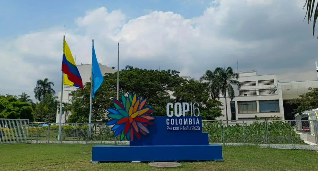 COP16 2024: qué es la zona azul y verde y quiénes podrán entrar a las actividades. Aclaran por qué hicieron estos espacios en el evento.