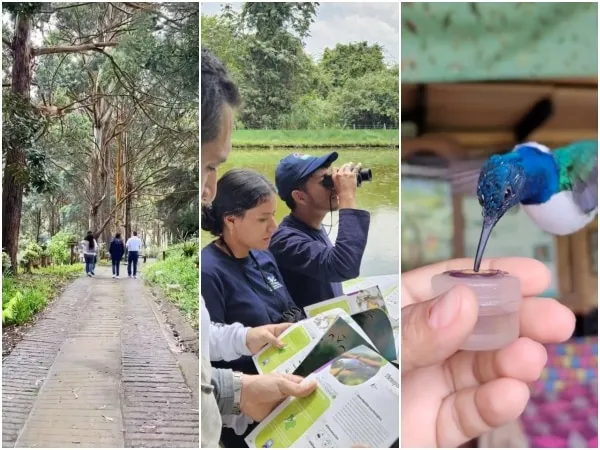 Durante la Conferencia de las Naciones Unidas sobre Biodiversidad (COP16), Cali tendrá otras actividades como avistamiento de aves y senderismo.