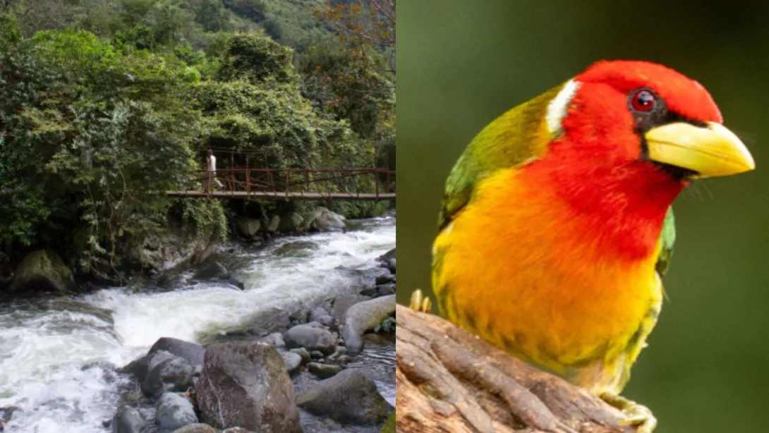 Turismo de naturaleza en Cali