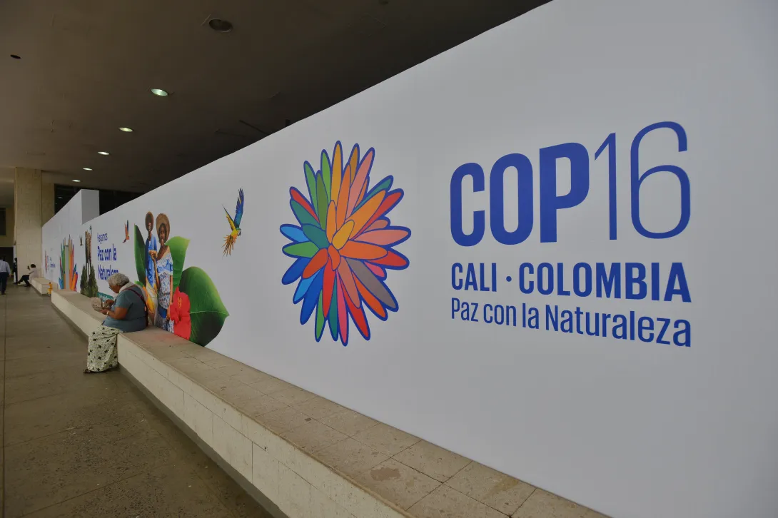 COP16, 'Paz con la naturaleza'.