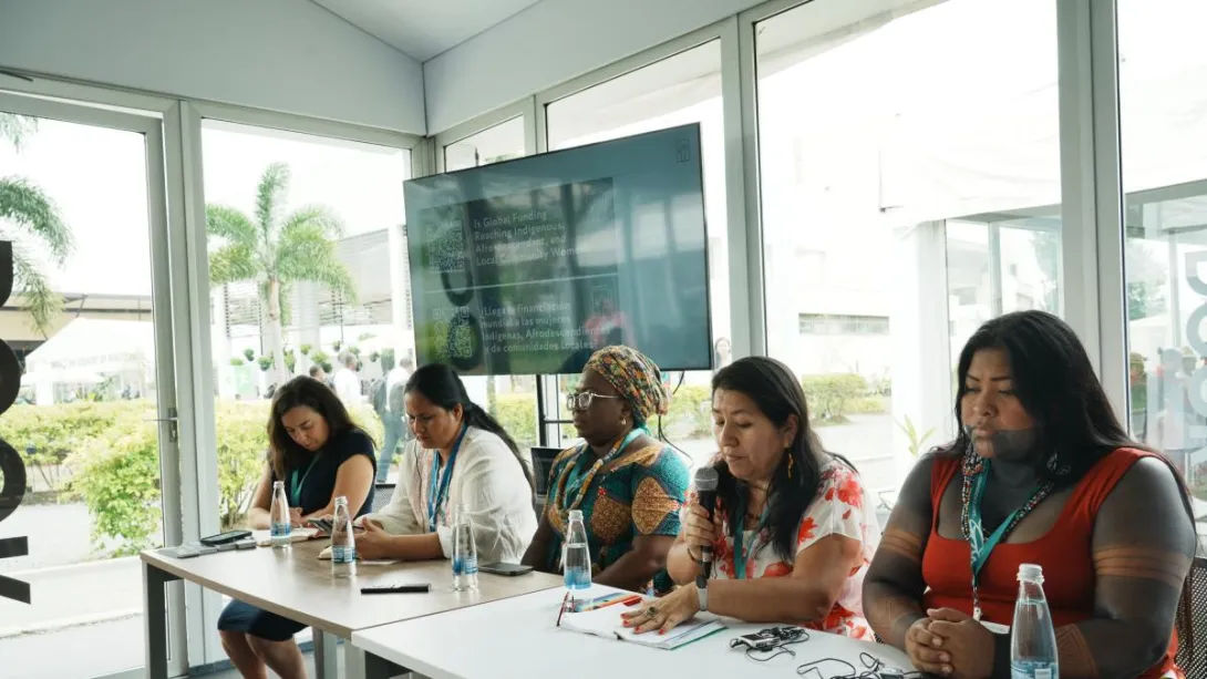 En la COP16 se lanzó un estudio que examina el estado de la financiación global para mujeres afro, indígenas y de comunidades locales.