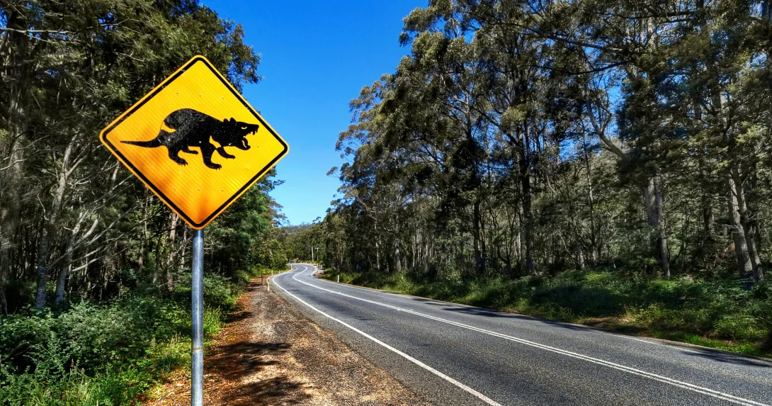 En Colombia es muy común encontrar, según la zona por donde se esté viajando, señales de tránsito que advierten la presencia de ciertos animales en las vías.