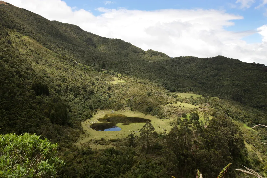 Laguna El Salitre, municipio de Subachoque.