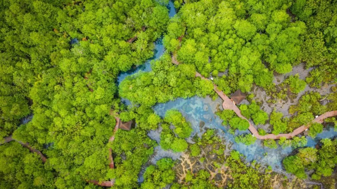 La entidad compartió desde Cali el balance de sus estrategias para proteger la biodiversidad.