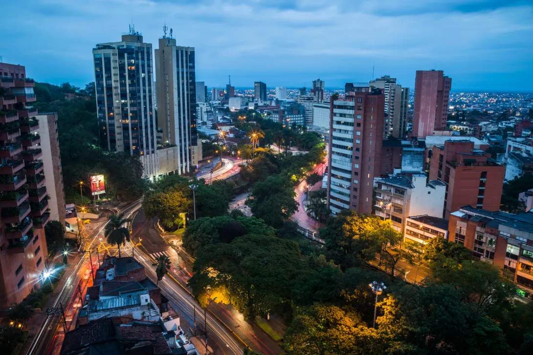 Cali centro de avistamiento de aves en Colombia.