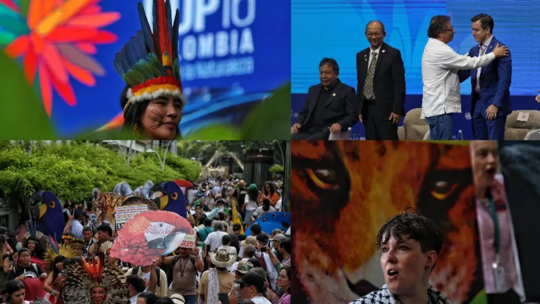 La Cumbre está en su etapa final, en la cual se esperan múltiples encuentros en Zona Verde y Zona Azul. Ojo al cronograma.