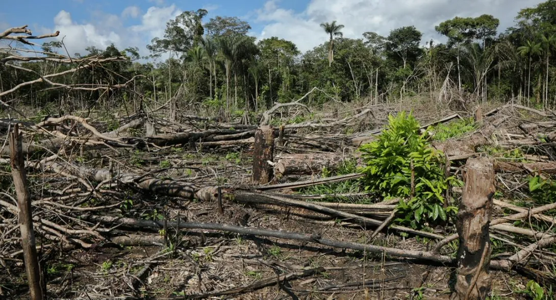 Kirsten Schuijt, directora de la World Wildlife Fund (WWF) dio alarmante mensaje sobre el cuidado del Amazonas durante la COP16, en Cali.