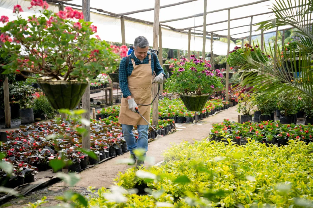 Hay plantas en el jardín que tienen beneficios para los terrenos y la salud. (Imagen de referencia).