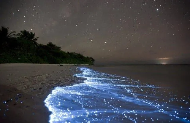 Laguna Encantada, Islas del Rosario de noche