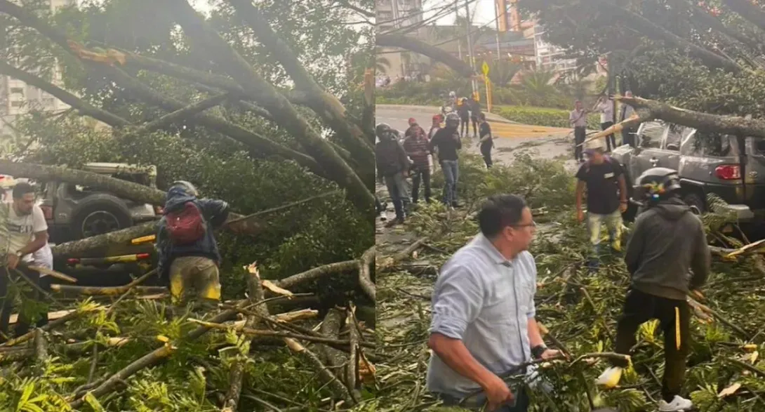 Emergencia en Medellín por tormenta eléctrica que provocó desplome de varios árboles en vía Las Palmas, una de las más importantes.