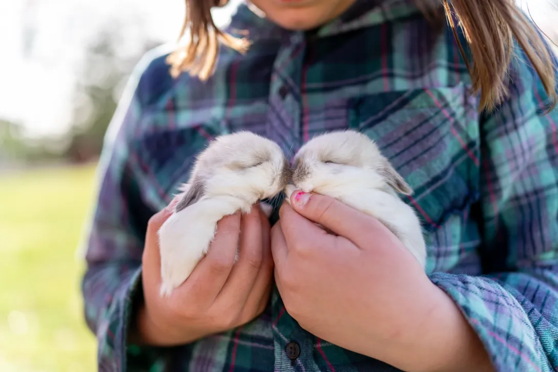 Los rasgos encantadores de los bebés animales, como los ojos grandes y el cuerpo regordete, tienen una función en la naturaleza que va más allá de la estética, según expertos en biología y psicología.