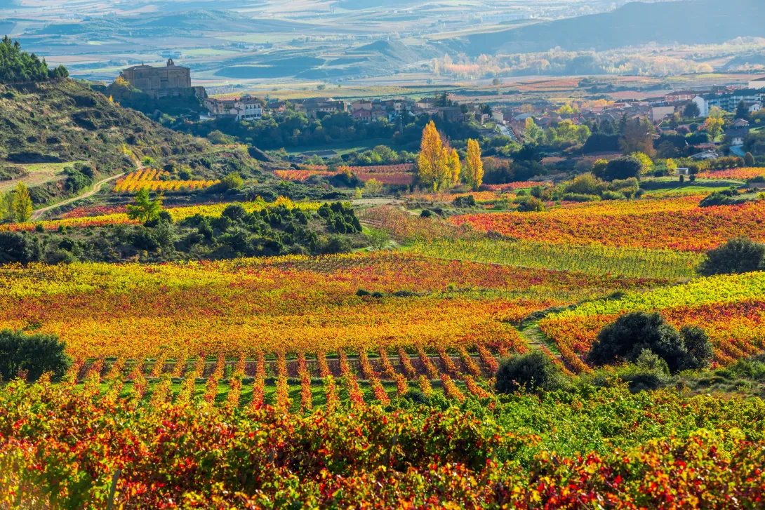 Labastida. Paisajes y viñedos en Rioja alavesa. Álava. País Vasco. País Vasco. Euskadi.  ESPAÑA