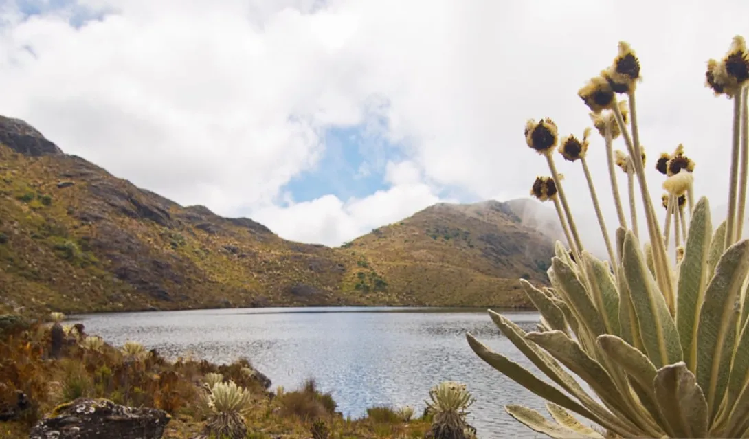 El páramo de Santurbán ha sido motivo de polémicas por las exploraciones mineras que se han querido hacer en ese ecosistema.