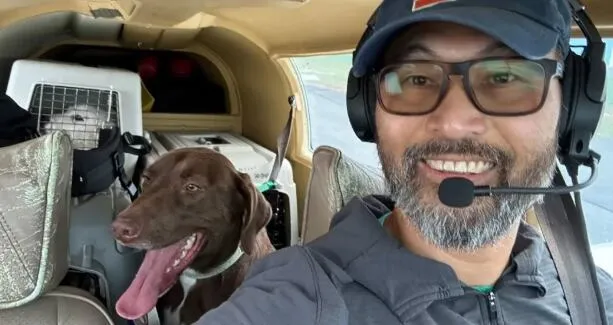 Dos perritos que acompañaban al piloto sobrevivieron al choque.