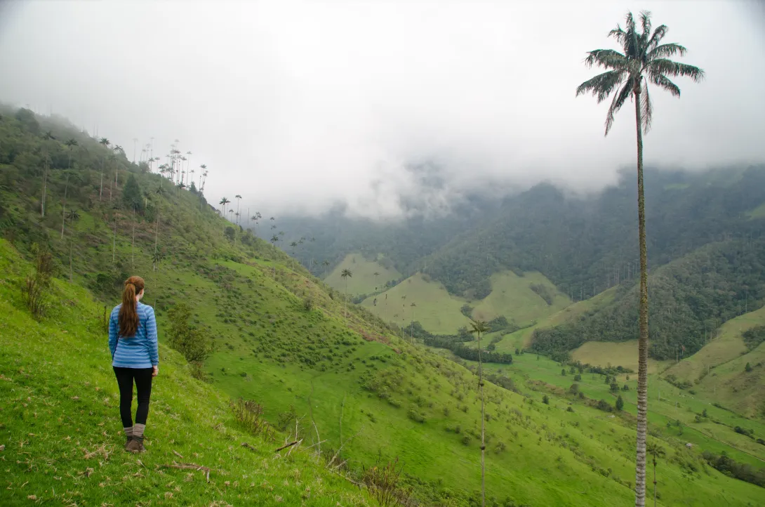 Turista en el Valle del Cocora