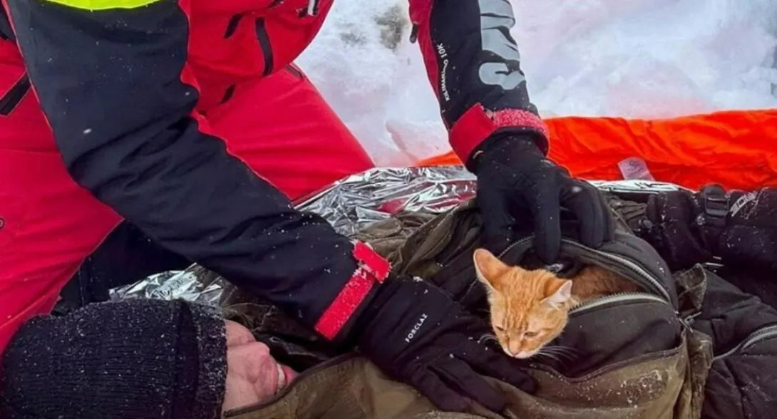 Joven ucraniano de 28 años fue rescatado al norte de Rumanía luego de caer de un barranco. Su gata le salvó la vida. | Video hombre lo salvó su gata.