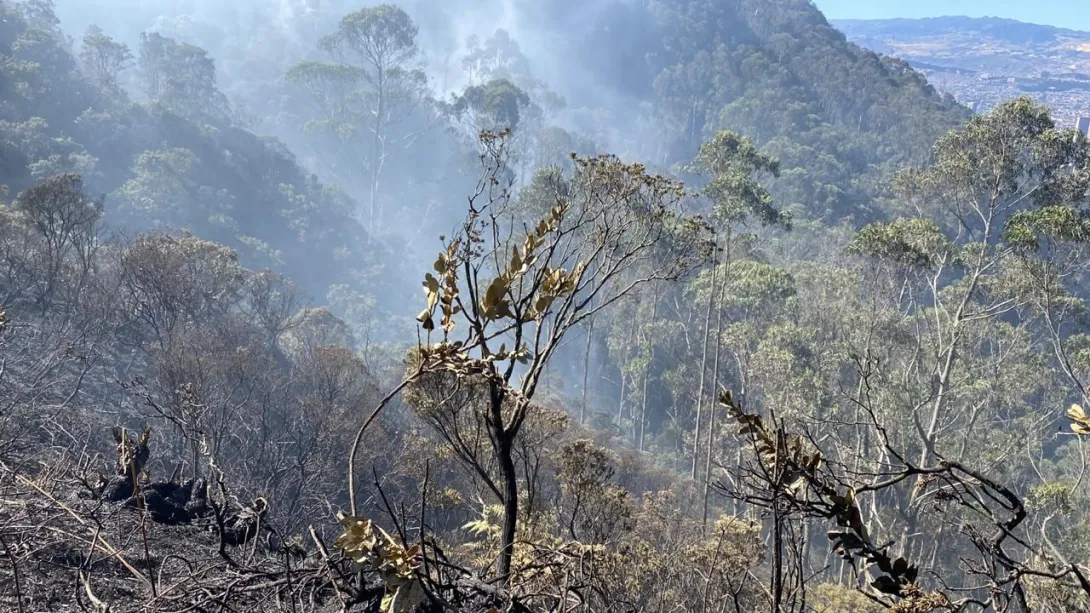 Emergencia por nuevo incendio forestal en Bogotá; bomberos intentan controlar las llamas.